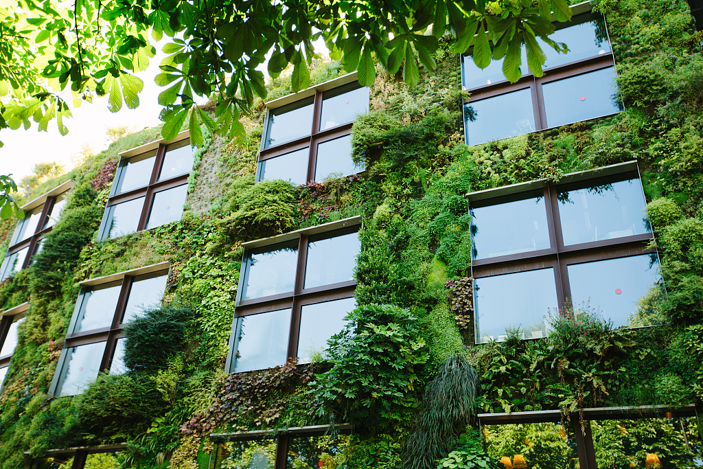 Zelená budova